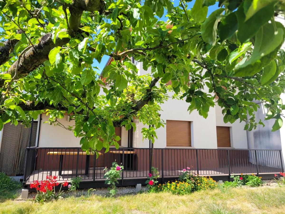 Casa Julio, Bonita Casa Comoda Y Espaciosa, Totalmente Reformada Con Terraza Y Jardin Privado Riezu Extérieur photo